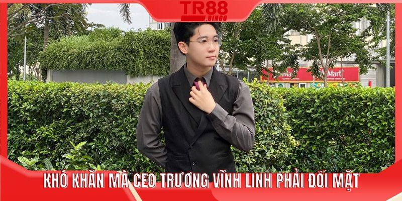 Khó khăn mà CEO Trương Vĩnh Linh phải đối mặt
